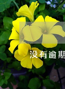 没有逾期分期乐突然无法借款了