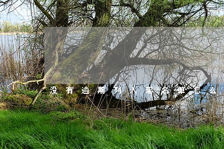 没有逾期列入黑名单怎么消除 没有逾期列入黑名单怎么消除