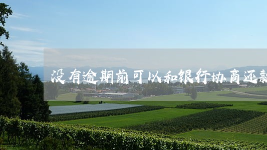 没有逾期前可以和银行协商还款吗