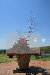 没有逾期办信用卡为啥不批呢 没有逾期办信用卡为啥不批呢