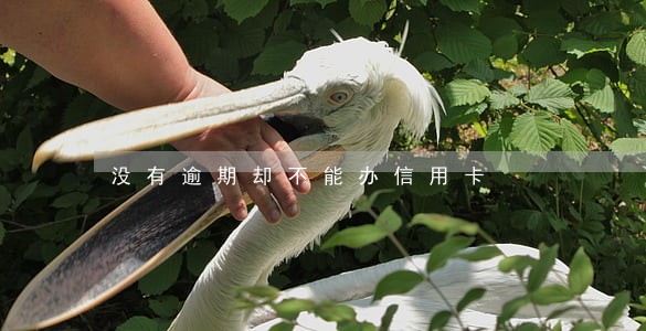 没有逾期却不能办信用卡 没有逾期却不能办信用卡