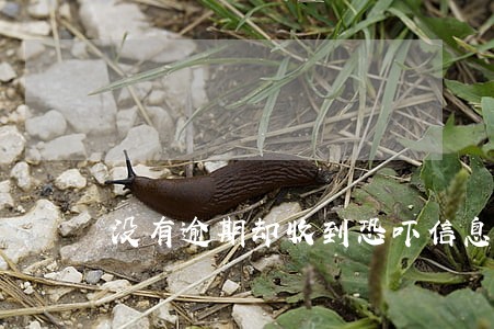 没有逾期却收到恐吓信息 没有逾期却收到恐吓信息