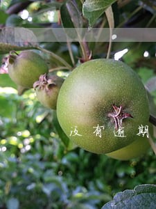 没有逾期却收到短信 没有逾期却收到短信