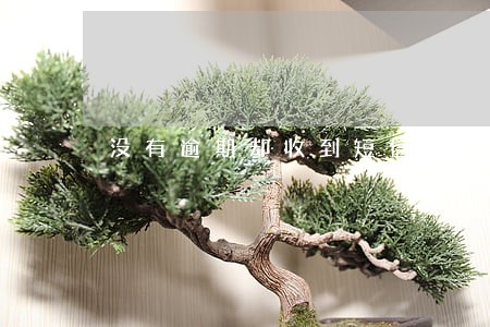 没有逾期却收到短信说我严重逾期 没有逾期却收到短信说我严重逾期