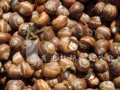 没有逾期却收到贷款的恐吓