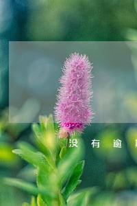 没有逾期却有人上门 没有逾期却有人上门