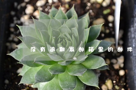 没有逾期发邮箱里的邮件是真的吗 没有逾期发邮箱里的邮件是真的吗