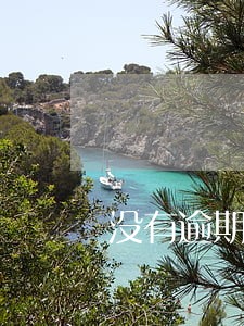 没有逾期可以债务重组吗 没有逾期可以债务重组吗
