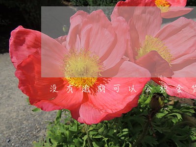 没有逾期可以公积金贷款吗 没有逾期可以公积金贷款吗