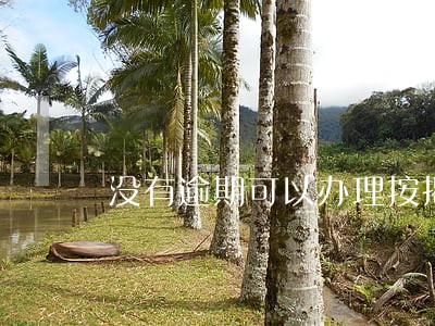 没有逾期可以办理按揭吗 没有逾期可以办理按揭吗