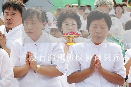没有逾期可以协商只还本金嘛
