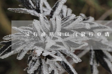 没有逾期可以向银行申请停息分期 没有逾期可以向银行申请停息分期