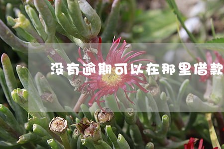 没有逾期可以在那里借款 没有逾期可以在那里借款