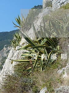 没有逾期可以房贷嘛 没有逾期可以房贷嘛