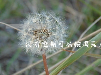 没有逾期可以按揭买房吗