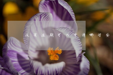 没有逾期可以申请哪些贷款 没有逾期可以申请哪些贷款