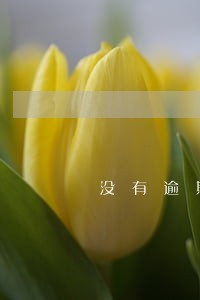 没有逾期可否诉讼 没有逾期可否诉讼
