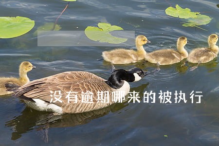 没有逾期哪来的被执行 没有逾期哪来的被执行