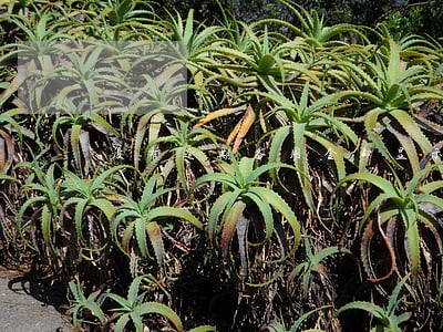 没有逾期备用金却显示逾期 没有逾期备用金却显示逾期