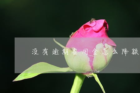 没有逾期备用金怎么降额了