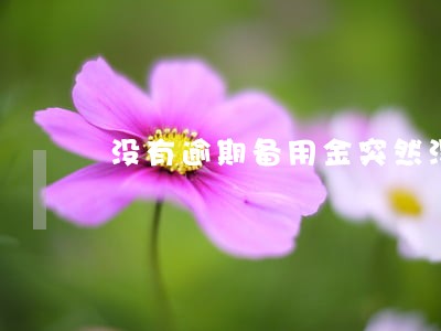 没有逾期备用金突然没了 没有逾期备用金突然没了