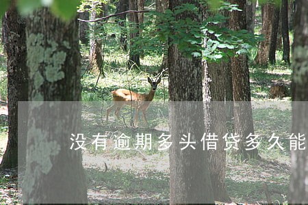 没有逾期多头借贷多久能除去 没有逾期多头借贷多久能除去