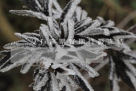 没有逾期好期待被冻结