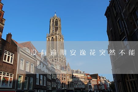 没有逾期安逸花突然不能用了 没有逾期安逸花突然不能用了