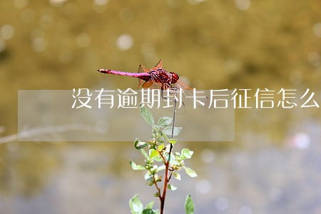 没有逾期封卡后征信怎么显示 没有逾期封卡后征信怎么显示