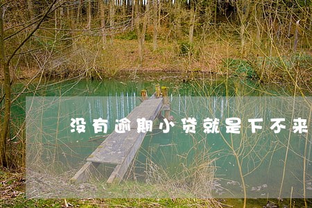 没有逾期小贷就是下不来 没有逾期小贷就是下不来