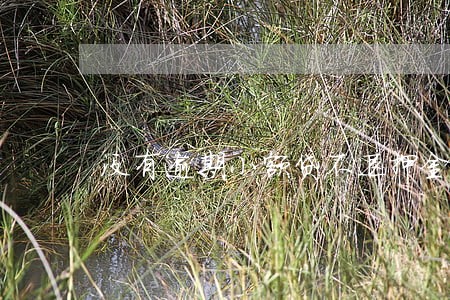 没有逾期小额贷不退押金 没有逾期小额贷不退押金