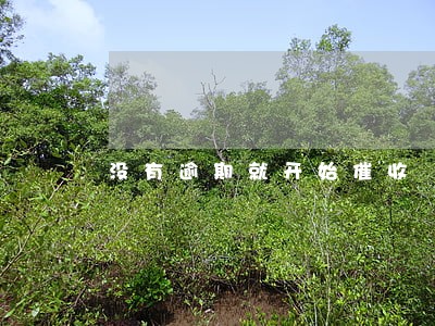 没有逾期就开始催收 没有逾期就开始催收