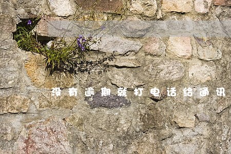 没有逾期就打电话给通讯录