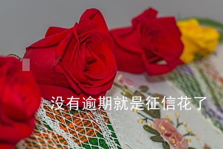 没有逾期就是征信花了 没有逾期就是征信花了