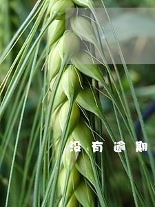 没有逾期就没有利息吗 没有逾期就没有利息吗