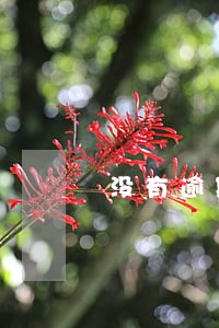 没有逾期平台为什么会拒绝 没有逾期平台为什么会拒绝