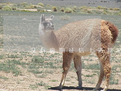 没有逾期征信上清除记录 没有逾期征信上清除记录