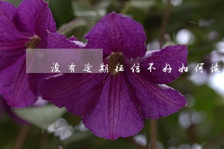 没有逾期征信不好如何恢复征信 没有逾期征信不好如何恢复征信