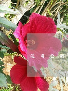 没有逾期征信不良记录6 没有逾期征信不良记录6