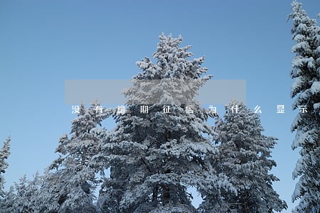 没有逾期征信为什么显示红字 没有逾期征信为什么显示红字