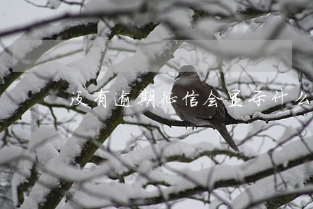 没有逾期征信会显示什么 没有逾期征信会显示什么