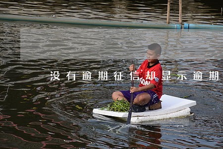 没有逾期征信却显示逾期 没有逾期征信却显示逾期