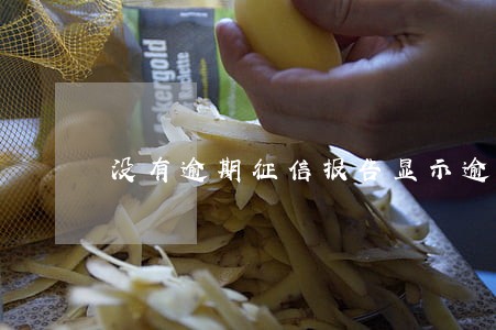 没有逾期征信报告显示逾期