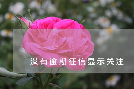 没有逾期征信显示关注 没有逾期征信显示关注