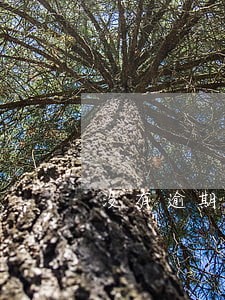 没有逾期征信显示吗
