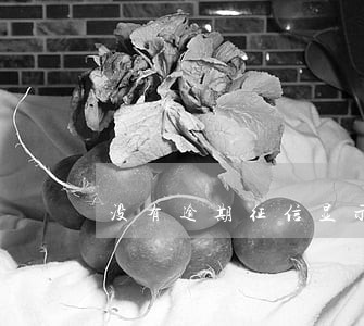 没有逾期征信显示逾期怎么办