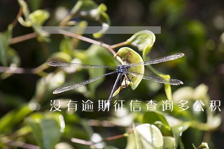 没有逾期征信查询多公积金 没有逾期征信查询多公积金