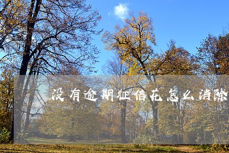 没有逾期征信花怎么消除 没有逾期征信花怎么消除