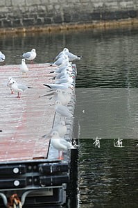 没有逾期征信花适合哪些网贷 没有逾期征信花适合哪些网贷