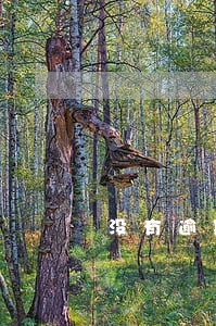 没有逾期怎么下款 没有逾期怎么下款